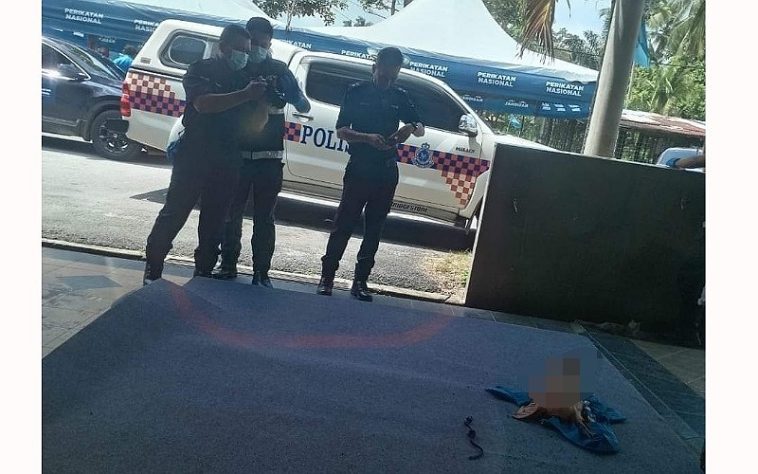 IMG 20230809 145659 800 x 500 pixel