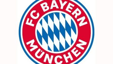 IMG 20230811 084332 800 x 500 pixel