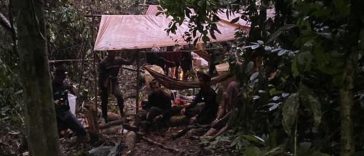 IMG 20230811 212905 800 x 500 pixel