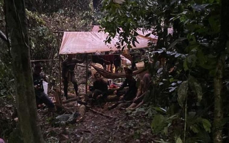 IMG 20230811 212905 800 x 500 pixel