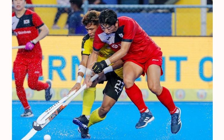 IMG 20230811 232607 800 x 500 pixel