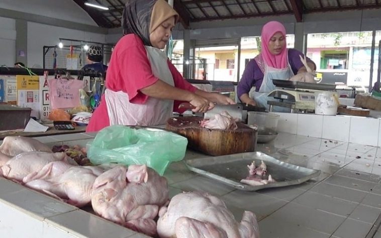 IMG 20230815 082448 800 x 500 pixel