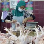 IMG 20230815 082550 800 x 500 pixel