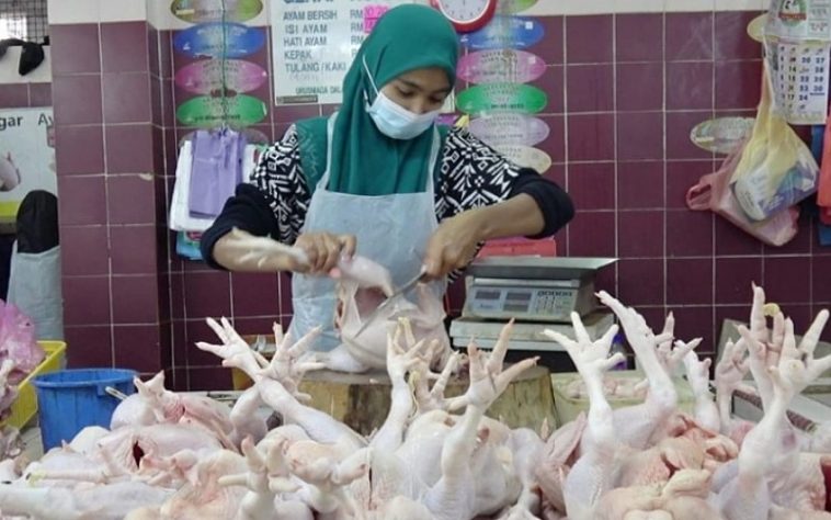 IMG 20230815 082550 800 x 500 pixel