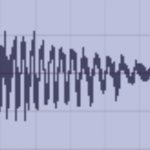 IMG 20230815 142512 800 x 500 pixel