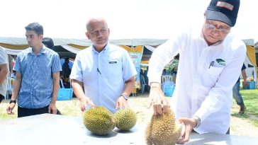 IMG 20230815 174842 800 x 500 pixel