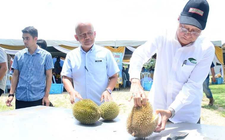 IMG 20230815 174842 800 x 500 pixel