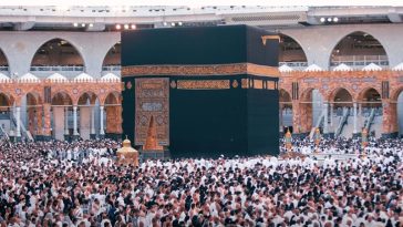 IMG 20230817 074204 800 x 500 pixel