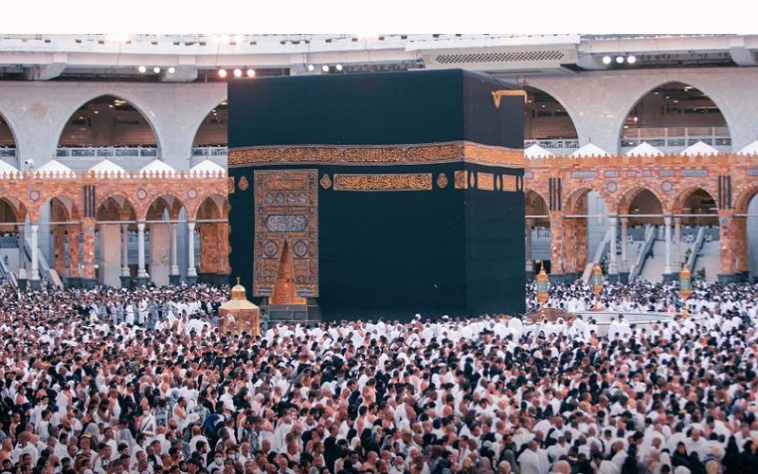 IMG 20230817 074204 800 x 500 pixel