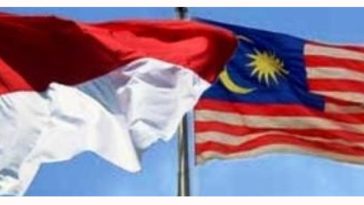 IMG 20230817 104302 800 x 500 pixel