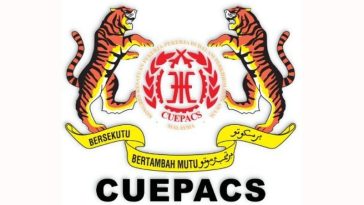 IMG 20230819 084327 800 x 500 pixel