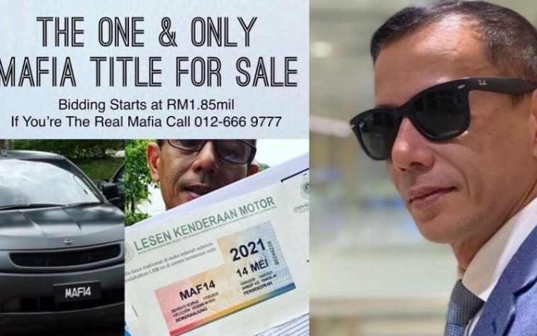 IMG 20230822 104604 800 x 500 pixel