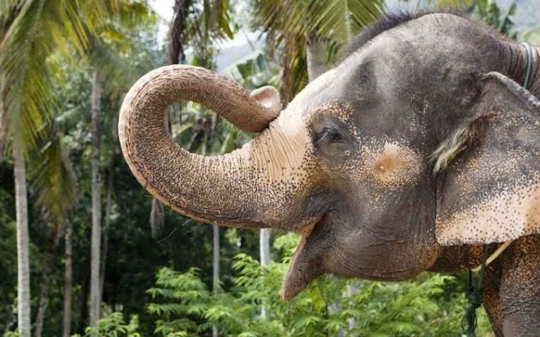 IMG 20230823 083812 800 x 500 pixel