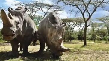 45094203 5226 4b63 a273 520164fc9e53