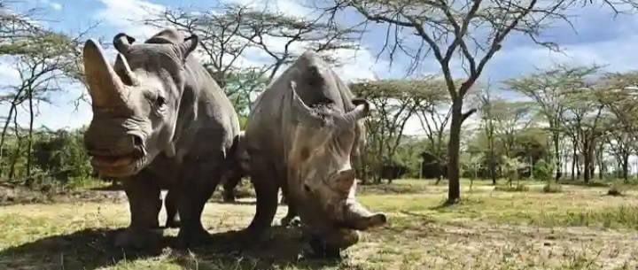 45094203 5226 4b63 a273 520164fc9e53