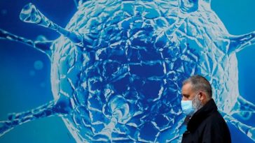 IMG 20230918 001051 800 x 500 pixel