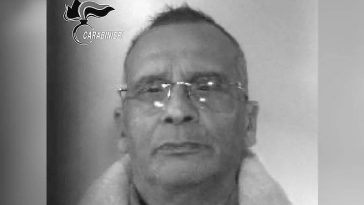 IMG 20230925 150030 800 x 500 pixel