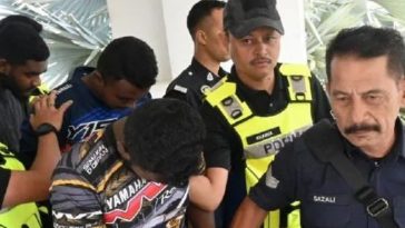 IMG 20230927 193905 800 x 500 pixel