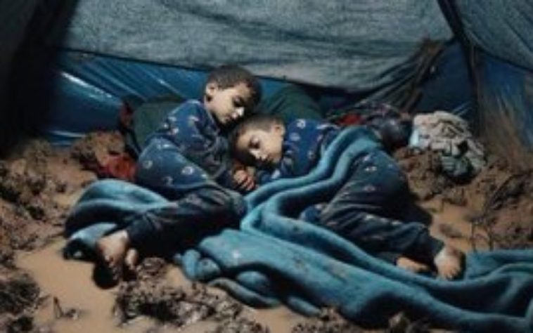 IMG 20240128 094450 800 x 500 pixel