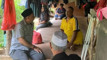 IMG 20240127 234807 800 x 500 pixel