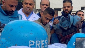 IMG 20240128 084348 800 x 500 pixel