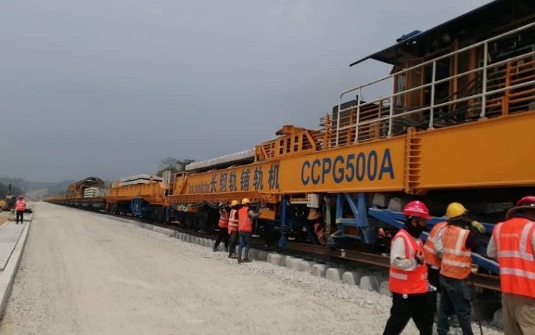 IMG 20240323 064708 800 x 500 pixel