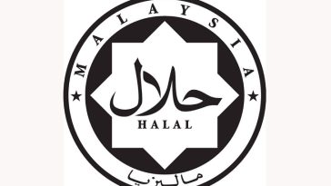 IMG 20240325 101508 800 x 500 pixel