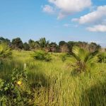 IMG 20240328 130731 800 x 500 pixel