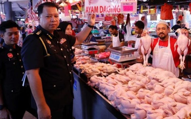 IMG 20240401 171756 800 x 500 pixel