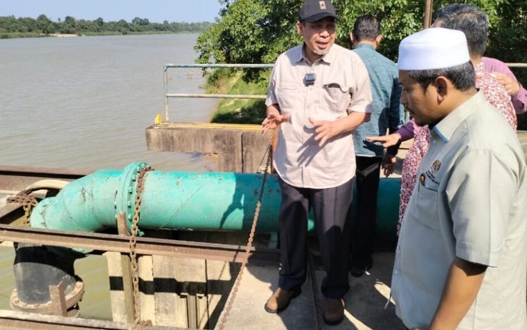 IMG 20240403 065600 800 x 500 pixel