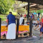 IMG 20240605 162705 800 x 500 pixel