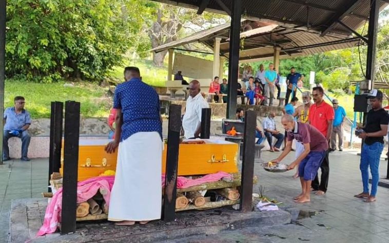 IMG 20240605 162705 800 x 500 pixel