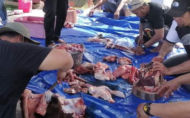 IMG 20240620 092354 800 x 500 pixel