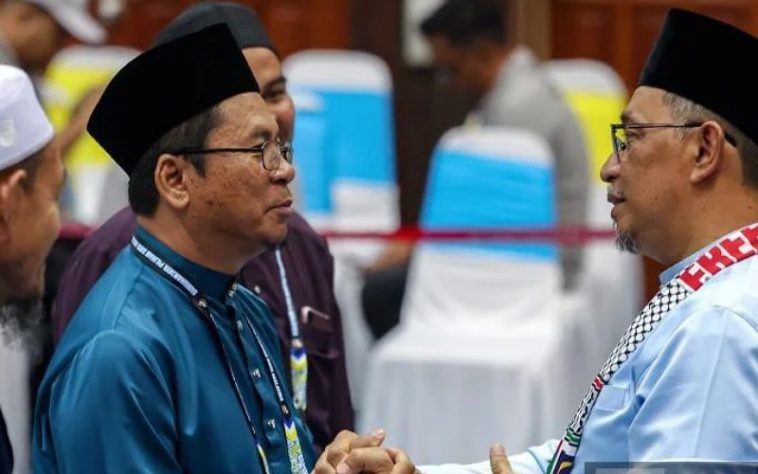 IMG 20240622 114220 800 x 500 pixel