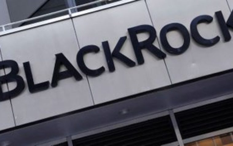 IMG 20240708 164157 800 x 500 pixel