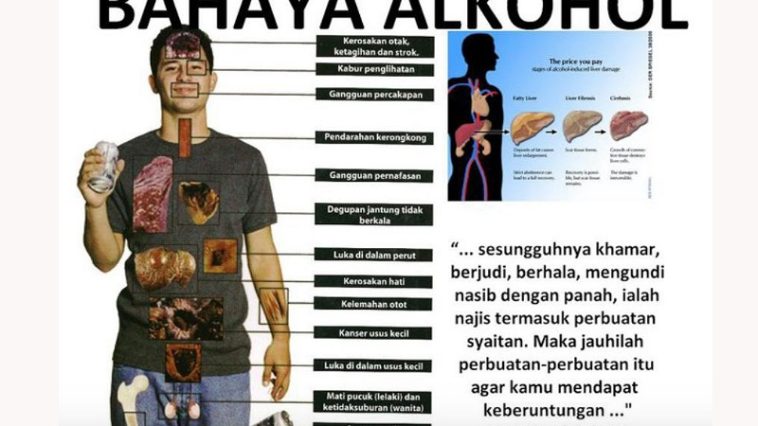 IMG 20240731 083734 800 x 500 pixel