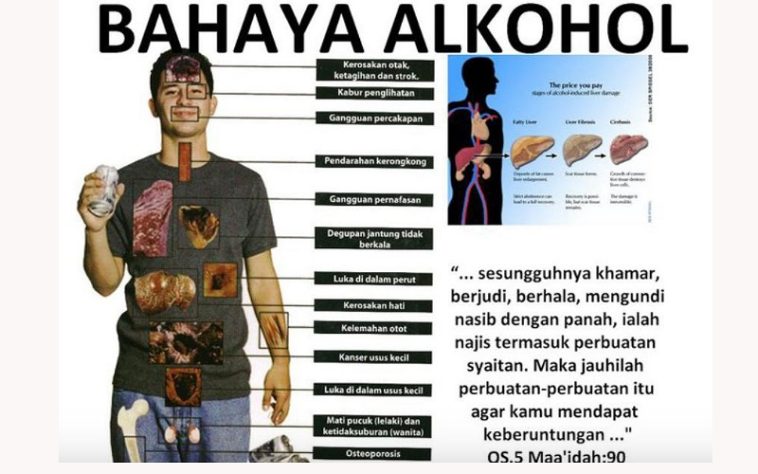 IMG 20240731 083734 800 x 500 pixel